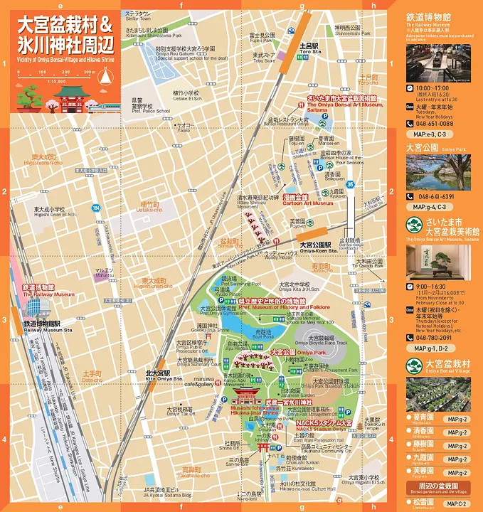 Saitama City Visitors Map (日英版 さいたま市観光地図)(大宮盆栽村・氷川神社周辺)