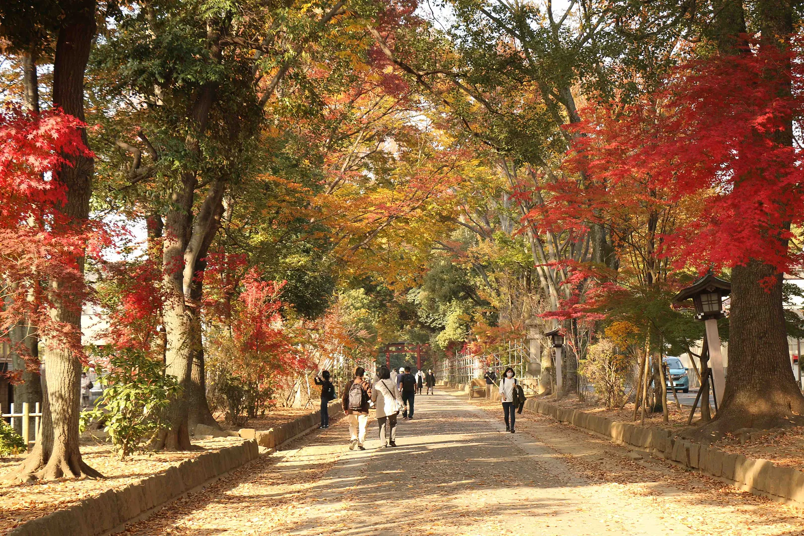 氷川参道・平成ひろば7