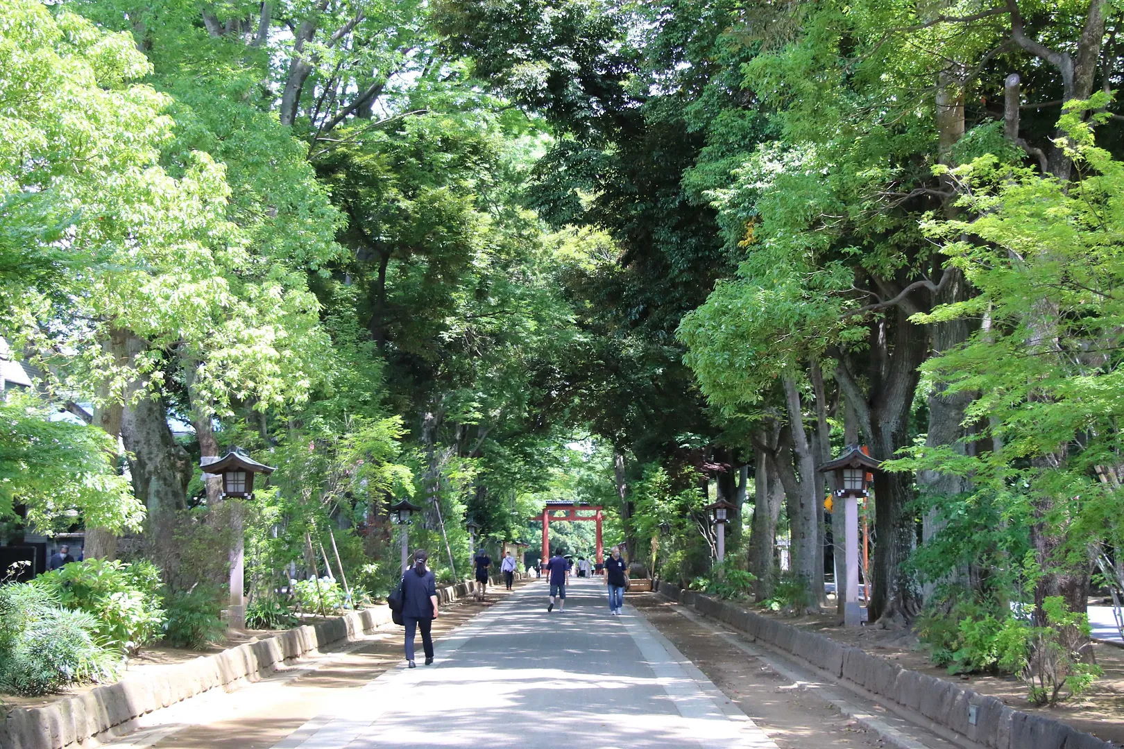 氷川参道・平成ひろば4