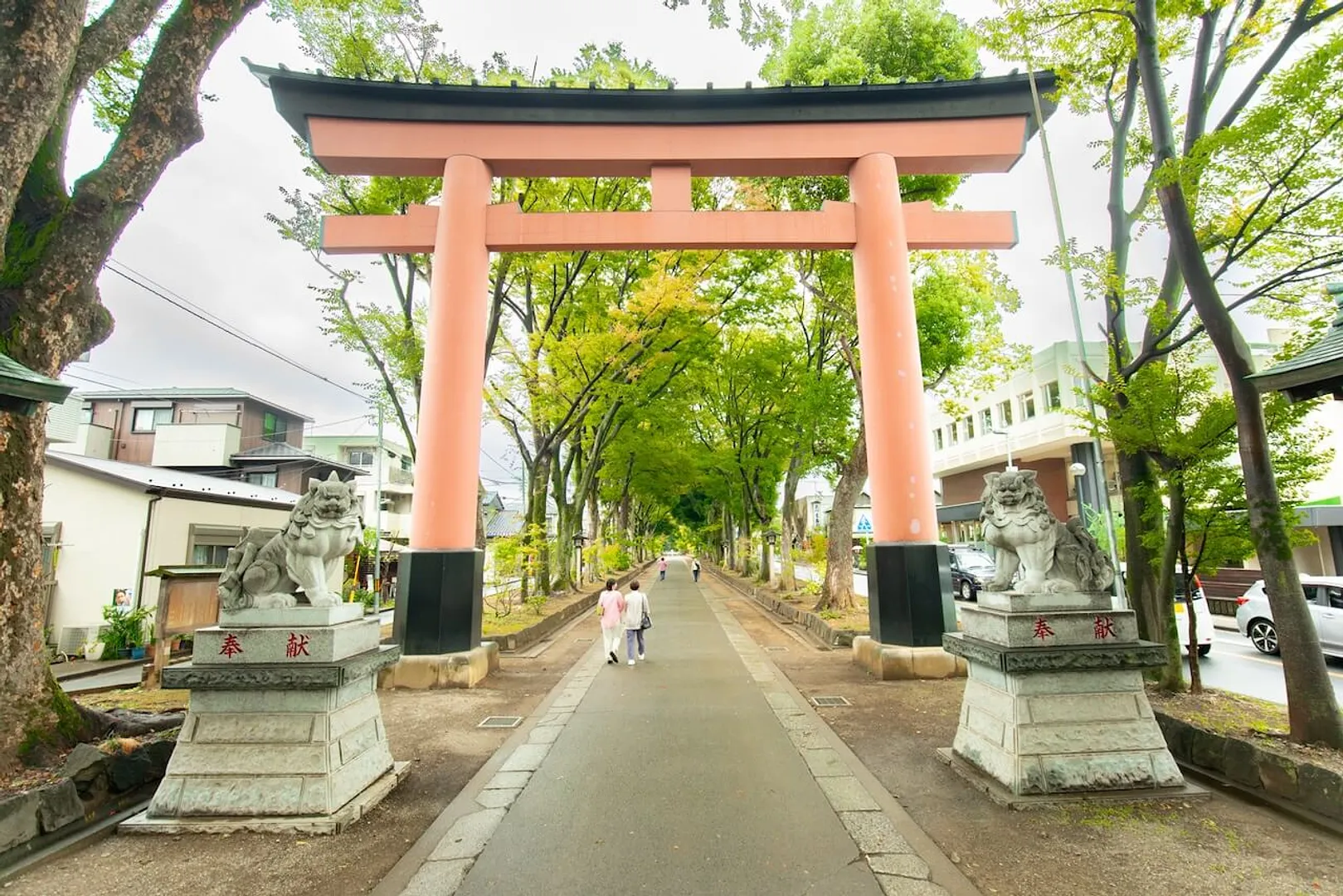 氷川参道