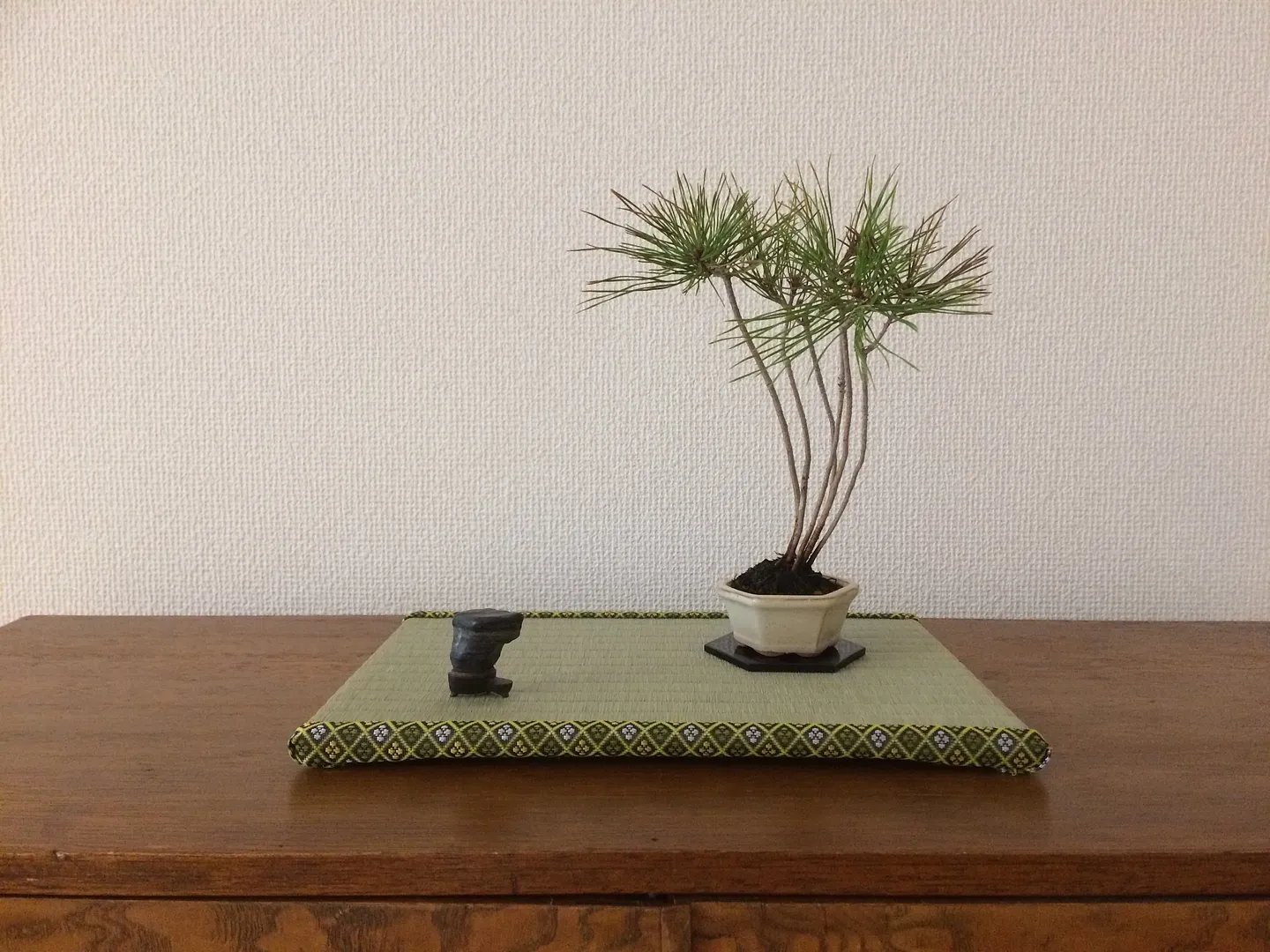 盆彩畳 〜BONSAI TATAMI〜